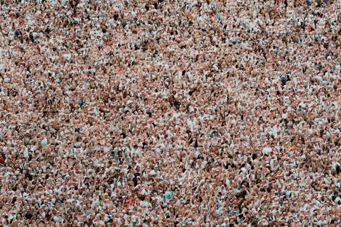 SPOT PITBULL IN THE CROWD OF BALD-E’S 🔥